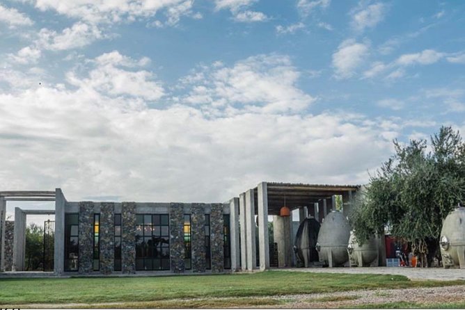 Trapiche and Lunch The Enemy (Michelin) + Private transportation - Authentic Insights from Travelers