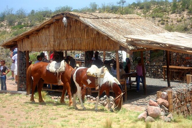 Horseback Riding with traditional Asado and Wine from Mendoza - FAQ