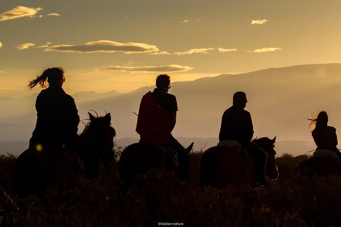 Horseback Riding with traditional Asado and Wine from Mendoza - Key Points