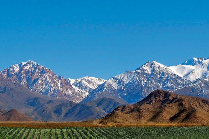 Private Uco Valley Tour paired Lunch, Wine Tastings from Mendoza - An In-Depth Look at the Private Uco Valley Tour