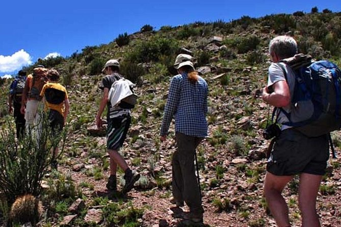 Arenales Hill Trekking in the Andes from Mendoza - Key Points