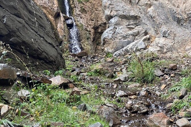 Full Day 4x4 Safari Tour in Villavicencio, Mendoza - Final Thoughts