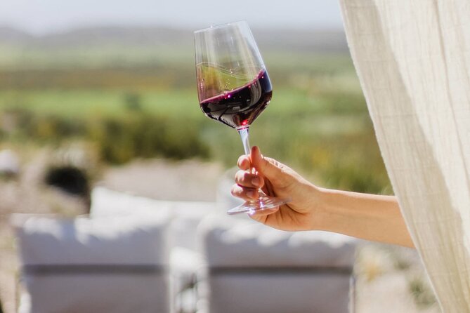 Atamisque Winery + Lunch in Ruda Cocina. Private transportation - FAQ