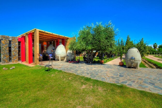 Winery The Enemy + Zapata Angelic Lunch. Private transportation - Authenticity and Value