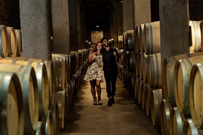 Ultimate Maipú Adventure: Winery Tour & Gourmet Lunch - Why You Should Consider This Tour