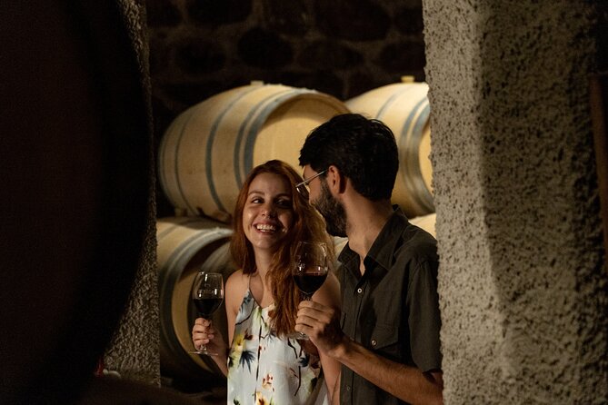 Ultimate Maipú Adventure: Winery Tour & Gourmet Lunch - Exploring the Maipú Valley: An Authentic Wine & Gastronomy Journey