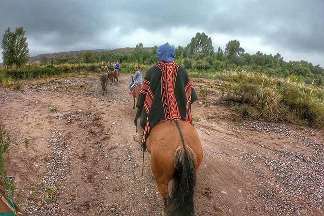 Horseback ride through vineyards followed by gourmet lunch - Key Points