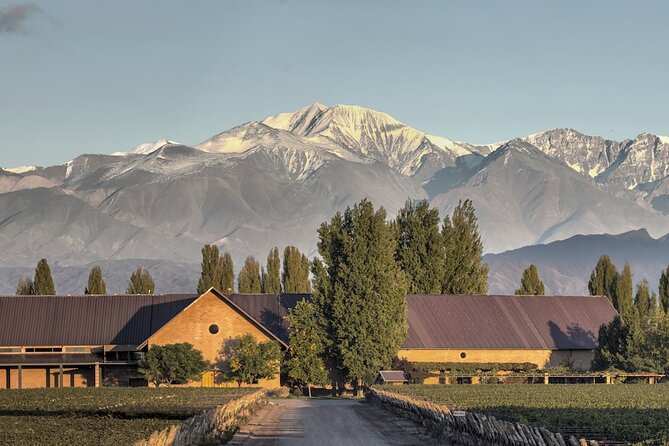 Visit to 2 Wineries and Lunch Top. Private transfer. - Mendozas Premier Wine Experience: Private Visits to Susana Balbo and Quimera with Lunch