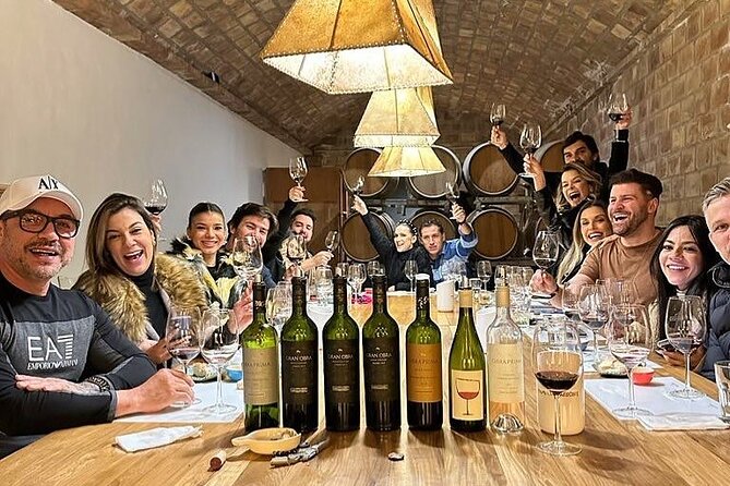 Classic Mendoza wineries with private lunch - Key Points