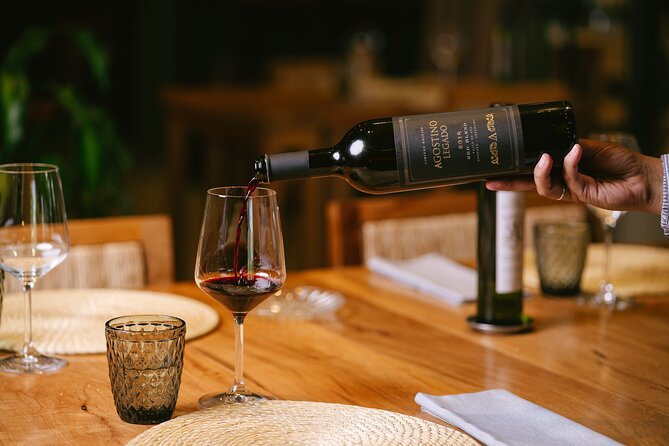 Full day tour in Maipu: Winery and Lunch Tour - Key Points