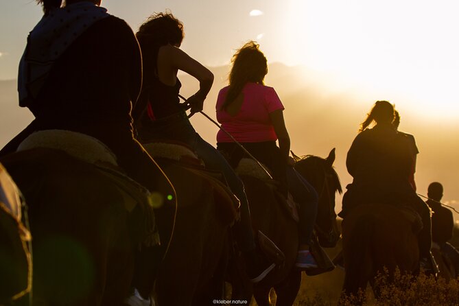 Sunset Horseback Riding - Why We Think This Tour Is a Great Value