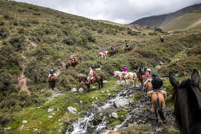 Horseback Riding in the Andes, gaucho experience & BBQ - Key Points