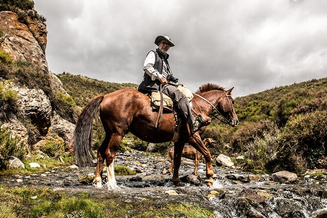Horseback Riding in the Andes, gaucho experience & BBQ - An In-Depth Look at the Horseback Riding in Mendoza Tour