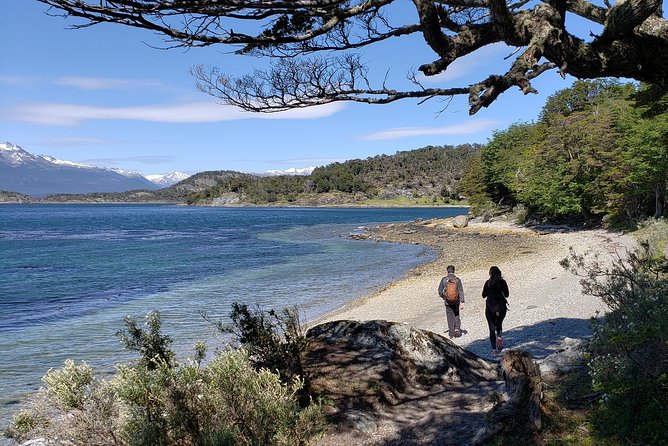 Tierra del Fuego National Park Private Tour - The Itinerary: What to Expect at Each Stop