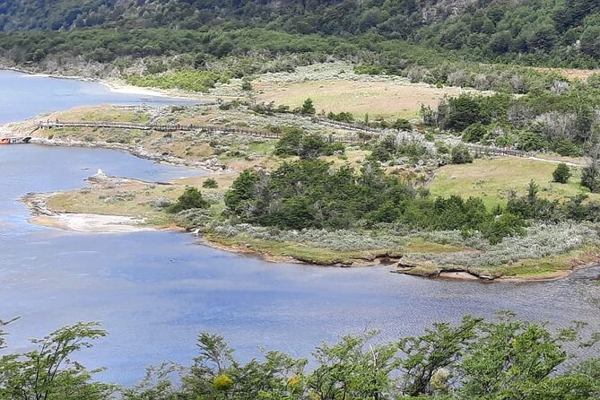 Half-Day Tierra del Fuego National Park - A Deep Dive into the Tierra del Fuego Experience