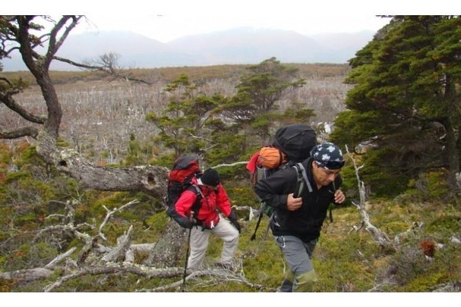 Tierra del Fuego National Park - A Closer Look at Tierra del Fuego National Park