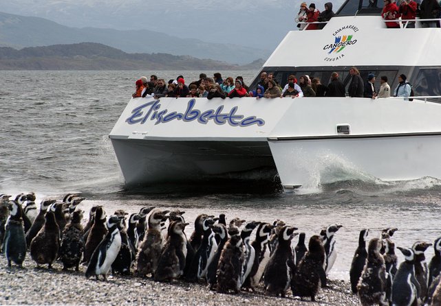 Canoero Catamarans: Isla de los Lobos, Les Eclaireurs Lighthouse and Pingüinera tour - Exploring Ushuaia’s Marine Wildlife and Historic Lighthouses with Canoero Catamarans