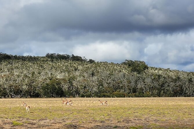 Lake Yehuin Ancestral Circuit in 4x4 Vehicle with Lunch - The Sum Up