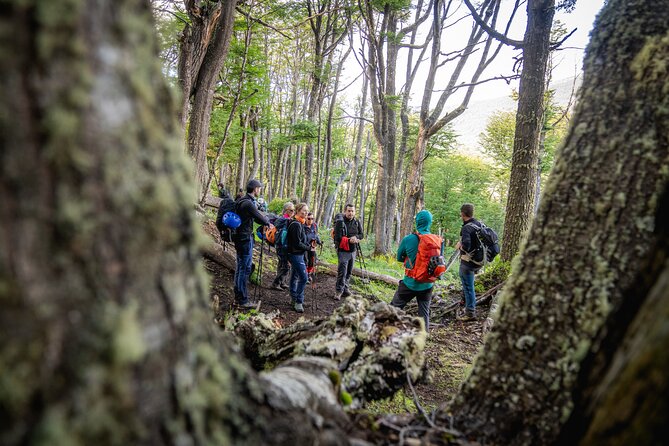 Trekking to Vinciguerra Glacier - An In-Depth Look at the Vinciguerra Glacier Trek