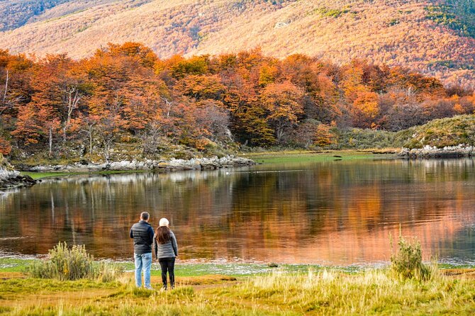 Tierra del Fuego National Park PM - with Dinner included - Detailed Breakdown of the Itinerary