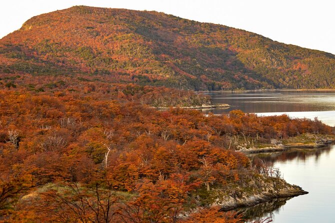 Tierra del Fuego National Park PM - with Dinner included - Exploring Tierra del Fuego: A Practical Review