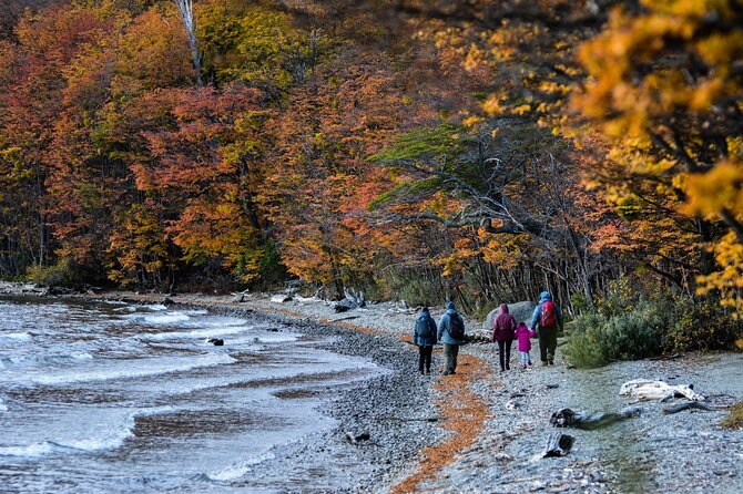 Tierra del Fuego National Park PM - with Dinner included - Final Thoughts