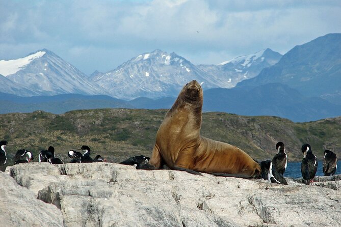 Navigation through the Beagle Channel, Los Lobos and the Bridges - The Guided Experience: Knowledgeable & Bilingual