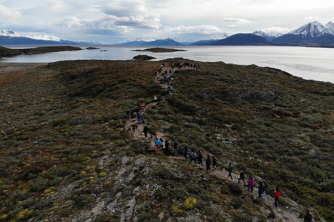 Navigation through the Beagle Channel, Los Lobos and the Bridges - Who Should Consider This Tour?