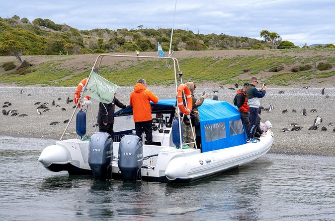 Guided Penguin Watching Tour and Centolla Route - Who Will Love This Tour?