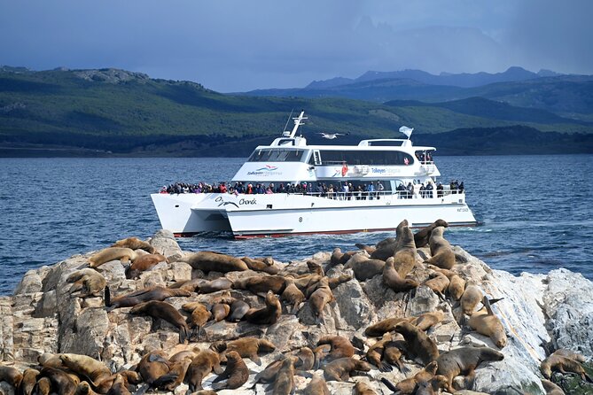 Navigation Beagle Channel to the penguin - A Deep Dive into the Beagle Channel Tour Experience