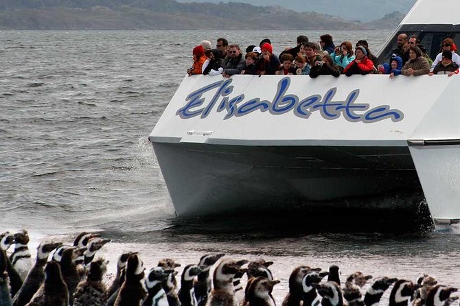 Martillo Island: Boat Trip to the Penguin Colony & Beagle Channel - FAQs