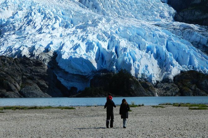 Glacial Cruise: Expedition from Ushuaia to Punta Arenas - What Makes This Cruise Worth It?