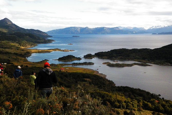 Glacial Cruise: Expedition from Ushuaia to Punta Arenas - Practical Tips for Travelers