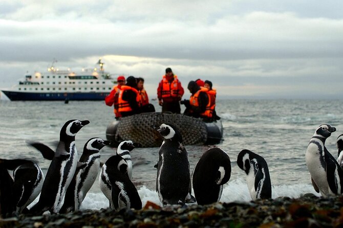 Glacial Cruise: Expedition from Ushuaia to Punta Arenas - Final Thoughts
