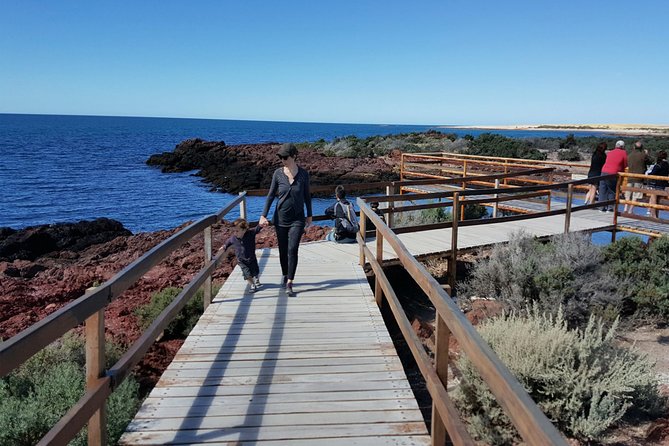 Exclusive Punta Tombo Penguins for Cruise Guests - Key Points