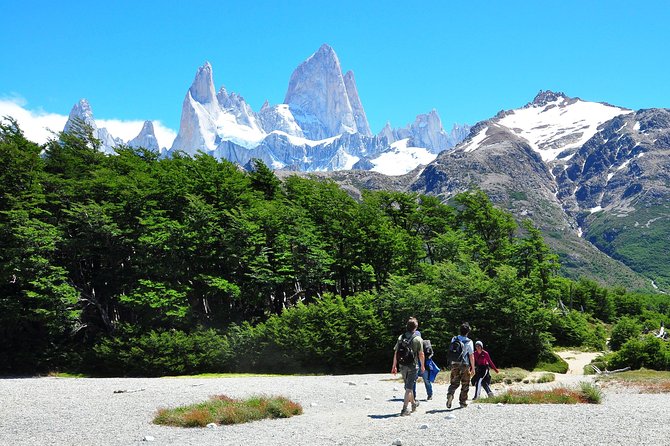 Full Day Chalten Self Guided Trek From Calafate - Transport, Timing, and Practicalities