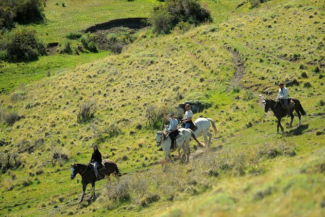 Adventure Horseback Riding on Cerro Frias - FAQ
