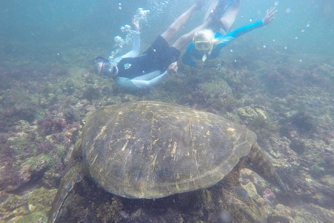 Galapagos 5-Day Tour Beyond the Islands - What We Love About This Tour