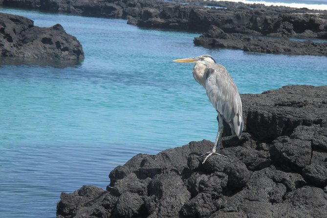 Galapagos 5-Day Tour Beyond the Islands - Final Thoughts: Is It Worth It?