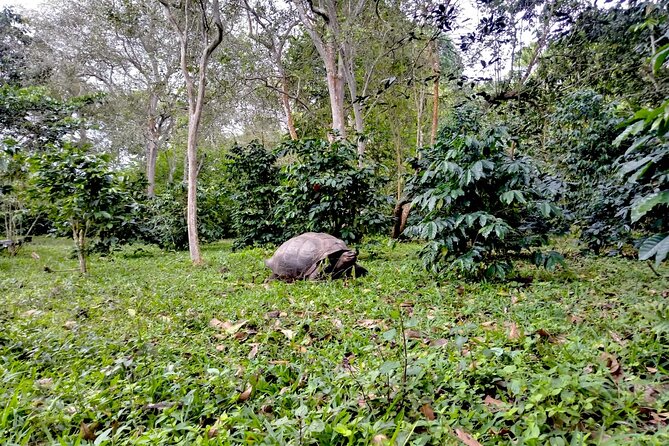 Galapagos 5-Day Tour Beyond the Islands - Who Is This Tour Best For?