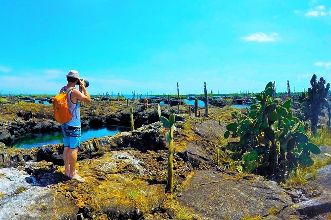7-Day Galapagos Island Hopping Tour: Tortuga Bay, Tintoreras, Wildlife Watching - What Travelers Say: Authentic Perspectives