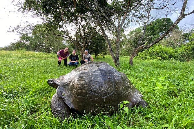 7-Day Galapagos Island Hopping Tour: Tortuga Bay, Tintoreras, Wildlife Watching - Final Thoughts: Is This the Right Tour for You?