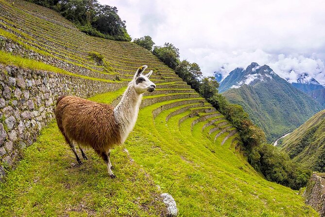 Traditional Cusco 4 days: city, Sacred Valley, Machu Picchu & Rainbow Mountain - The Real Experience: A Detailed Look at the 4-Day Tour