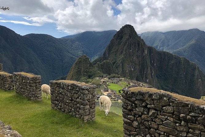 Machu Picchu and Sacred Valley Overnight Tour - Who Will Love This Tour?
