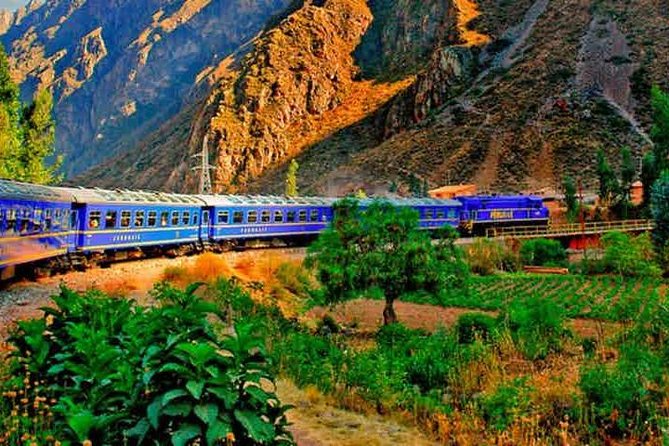 Excursión a Machu Picchu desde cusco 1 dia - The Sum Up