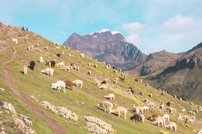 Rainbow Mountain & Red Valley (first ones to arrive)6 Small Group - The Ultimate Guide to Rainbow Mountain & Red Valley