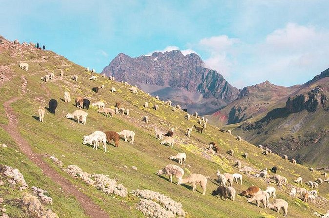 Rainbow Mountain & Red Valley (first ones to arrive)6 Small Group - The Sum Up: A worthwhile adventure for the curious and the fit