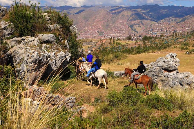 Half Day - City Horse Traditional Riding Tour Group Service - The Full Scoop: What to Expect from the City Horse Traditional Riding Tour