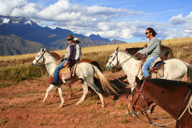 Half Day - City Horse Traditional Riding Tour Group Service - Who Will Love This Tour?