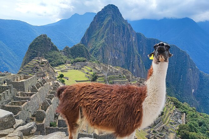 Shared 1 Day Machu Picchu Tour from Cusco - Who This Tour Suits Best
